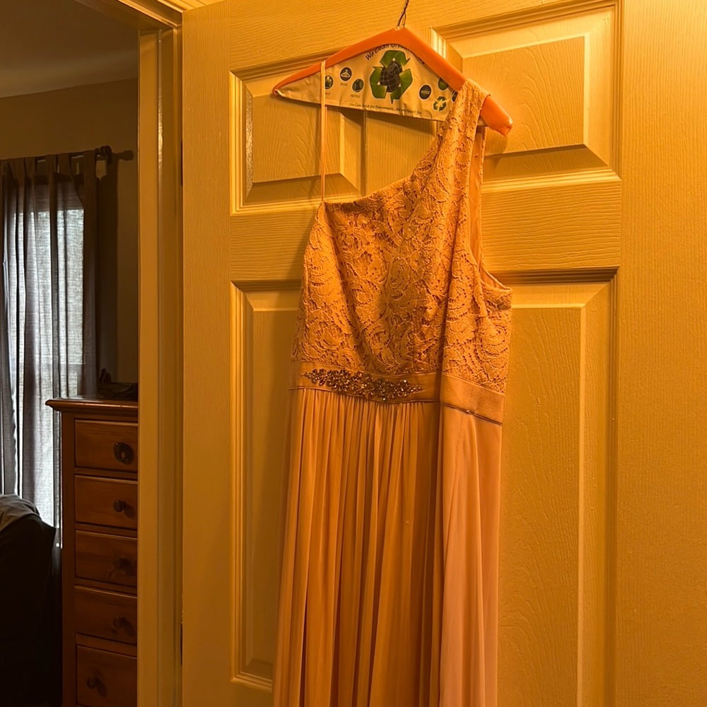 Dress, one shoulder, full length- worn once